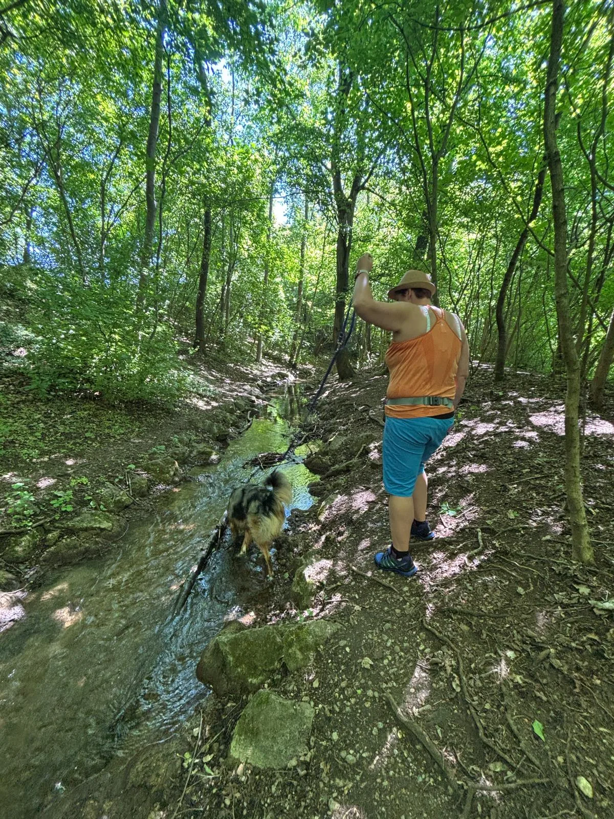 Gemeinsamer Spaziergang – Hundetraining Lisa, Putzbrunn
