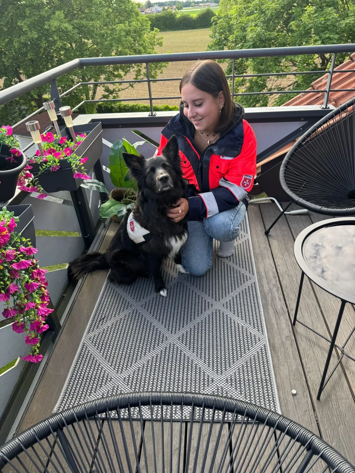 Online Webinare Hundetraining – Hundeverhalten bequem von zuhause
